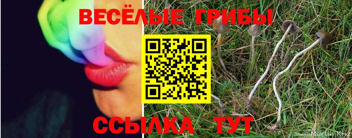 Галлюциногенные грибы мухоморы Ногинск